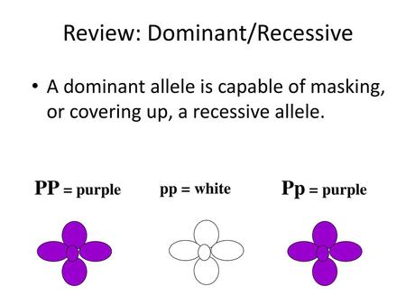 Review: Dominant/Recessive