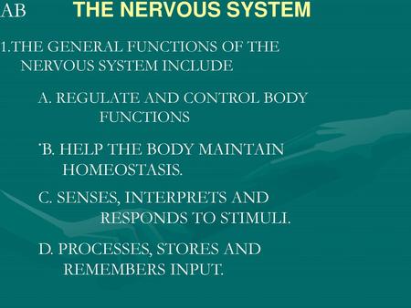 AB THE NERVOUS SYSTEM . B. HELP THE BODY MAINTAIN HOMEOSTASIS.