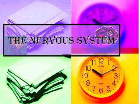 THE NERVOUS SYSTEM.