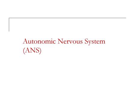 Autonomic Nervous System (ANS)