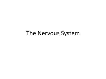 The Nervous System.