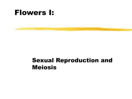 Sexual Reproduction and Meiosis