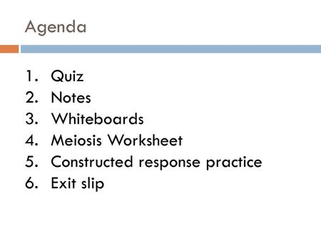 Agenda Quiz Notes Whiteboards Meiosis Worksheet