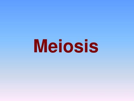 Meiosis.