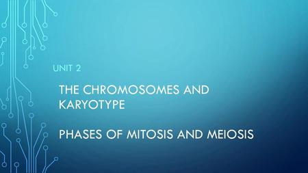 The Chromosomes and karyotype Phases of Mitosis and Meiosis