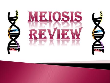 Meiosis Review.