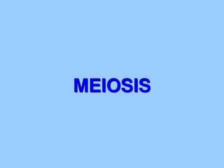 MEIOSIS.