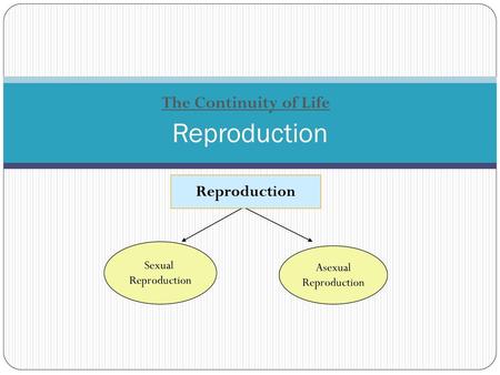 Reproduction The Continuity of Life Reproduction Sexual Asexual