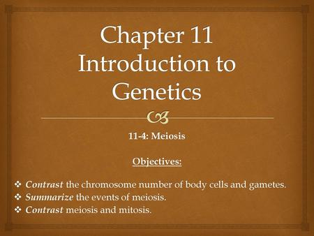 Chapter 11 Introduction to Genetics