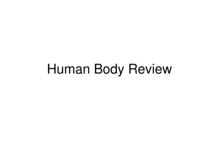 Human Body Review.