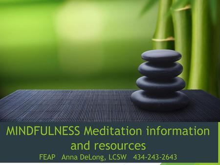 MINDFULNESS Meditation information and resources