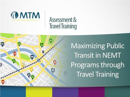 Maximizing Public Transit in NEMT Programs through Travel Training