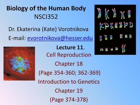 Biology of the Human Body NSCI352