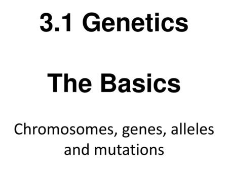 Chromosomes, genes, alleles and mutations