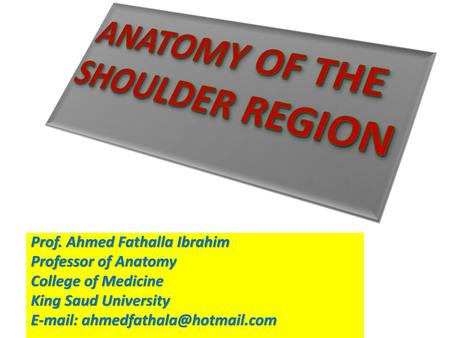 ANATOMY OF THE SHOULDER REGION