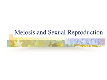 Meiosis and Sexual Reproduction