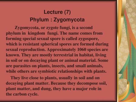 Lecture (7) Phylum : Zygomycota