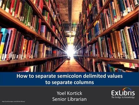 How to separate semicolon delimited values to separate columns