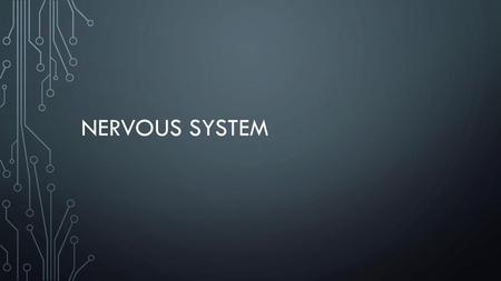 Nervous system.