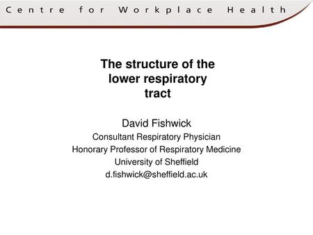 The structure of the lower respiratory tract