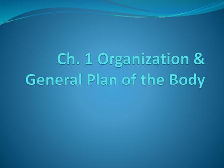 Ch. 1 Organization & General Plan of the Body