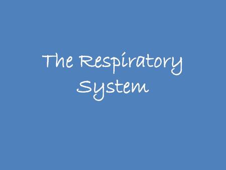 The Respiratory System