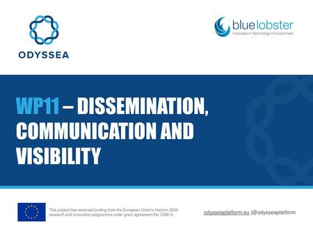 WP11 – DISSEMINATION, COMMUNICATION AND VISIBILITY