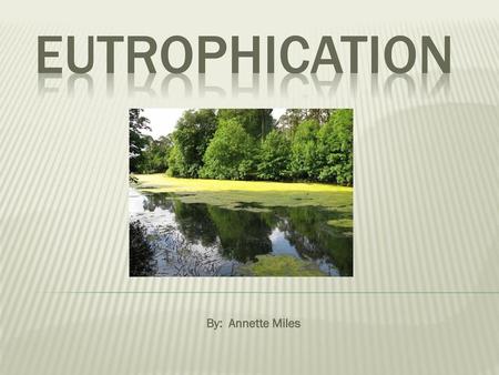 EUTROPHICATION By: Annette Miles.