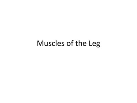 Muscles of the Leg.