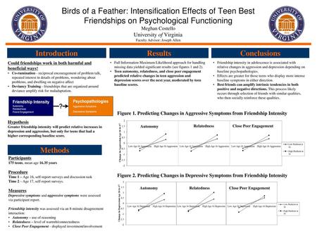 Birds of a Feather: Intensification Effects of Teen Best Friendships on Psychological Functioning Meghan Costello University of Virginia. Faculty Advisor: