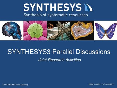 SYNTHESYS3 Parallel Discussions