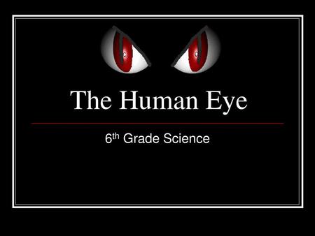 The Human Eye 6th Grade Science.