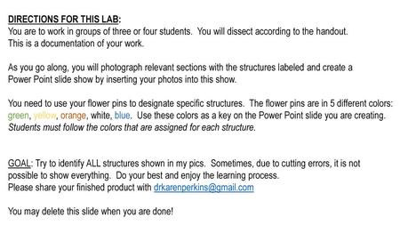 DIRECTIONS FOR THIS LAB: You are to work in groups of three or four students. You will dissect according to the handout. This is a documentation of.