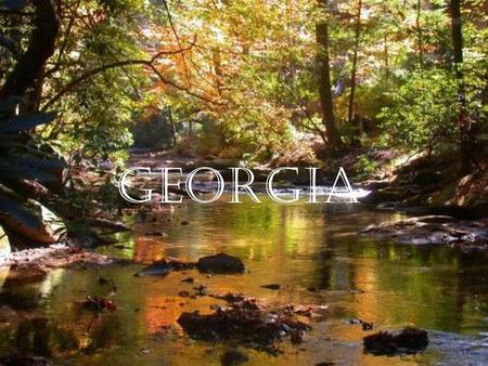 GEORGIA.