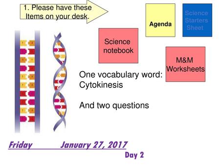 One vocabulary word: Cytokinesis And two questions