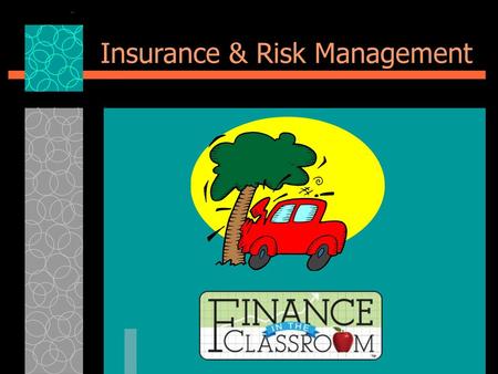 Insurance & Risk Management