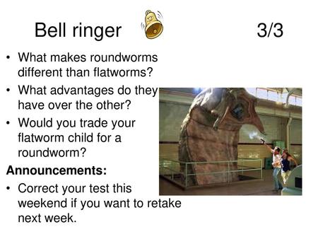 Bell ringer 3/3 What makes roundworms different than flatworms?