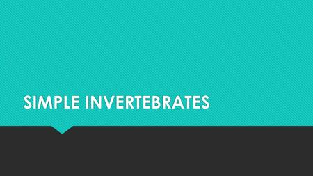 SIMPLE INVERTEBRATES.