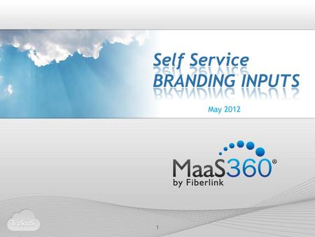 Self Service BRANDING INPUTS