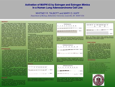 Activation of MAPK1/2 by Estrogen and Estrogen Mimics