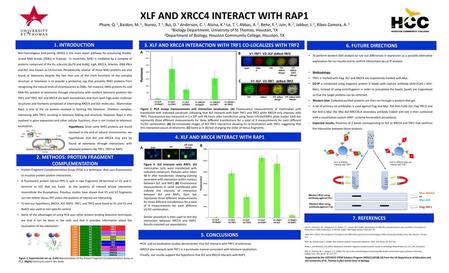 XLF AND XRCC4 INTERACT WITH RAP1 Pham, Q. 1, Baidon, M. 1 , Nunez, T