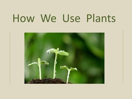 How We Use Plants.