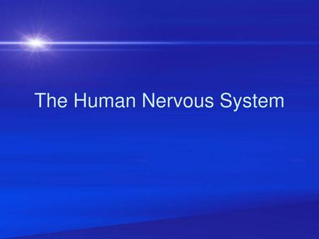 The Human Nervous System