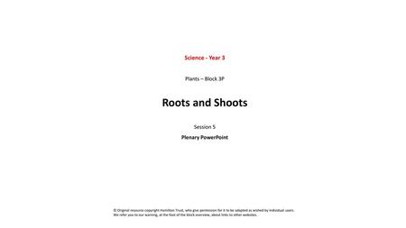 Roots and Shoots Science - Year 3 Plants – Block 3P Session 5