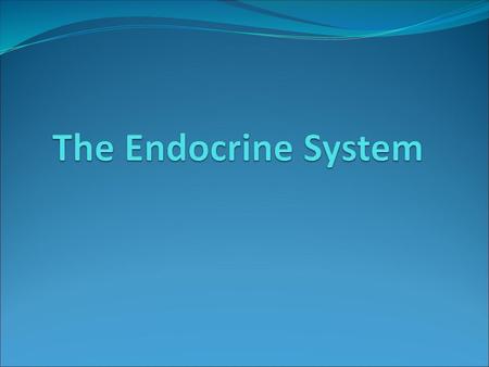 The Endocrine System.