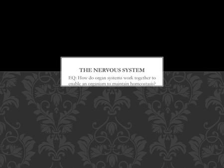 The Nervous System EQ: How do organ systems work together to enable an organism to maintain homeostasis?