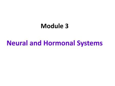 Neural and Hormonal Systems