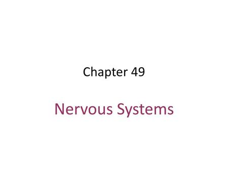 Chapter 49 Nervous Systems.