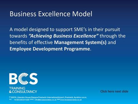 Business Excellence Model