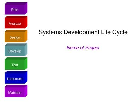 Systems Development Life Cycle